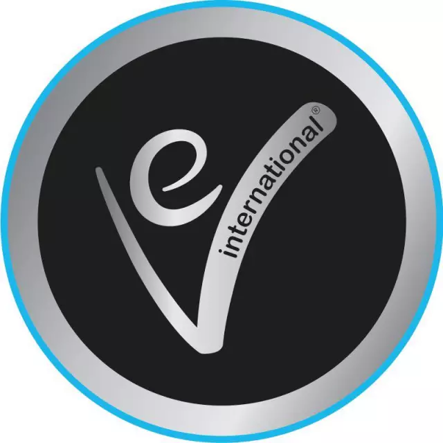 Auxilium Consulting