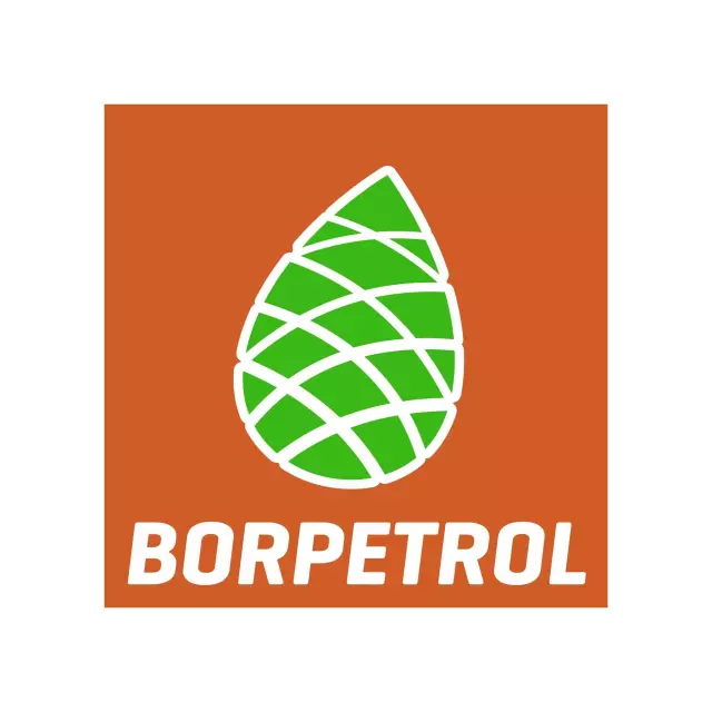 BOR PETROL 