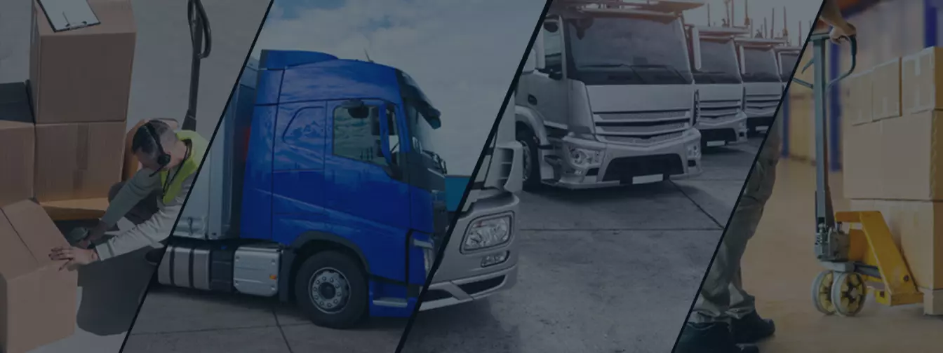 Export, import i distribucija