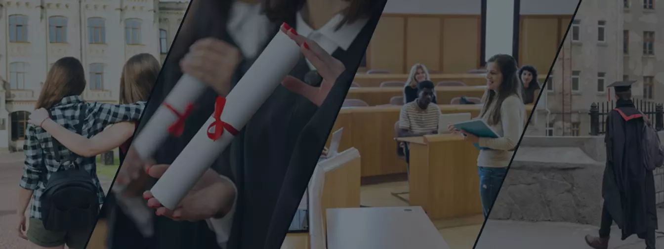 Fakulteti i visoke škole