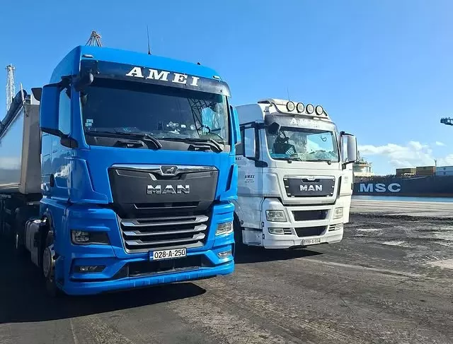 Transport Domaći transport kamionom u Kaknju