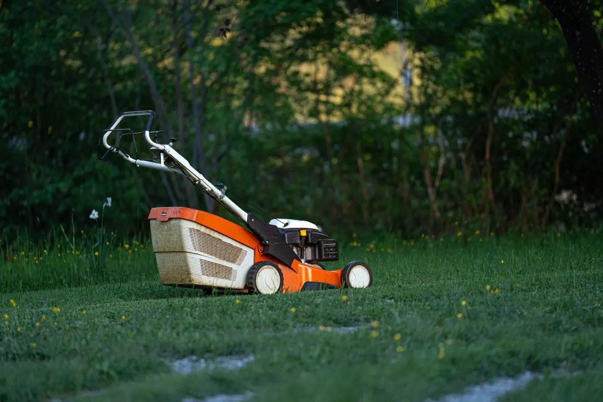 Hortikultura i uređenje travnjaka u Cazinu