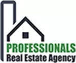 Professionals Real Estate