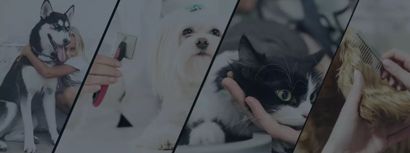 Saloni za kućne ljubimce, šišanje i kupanje