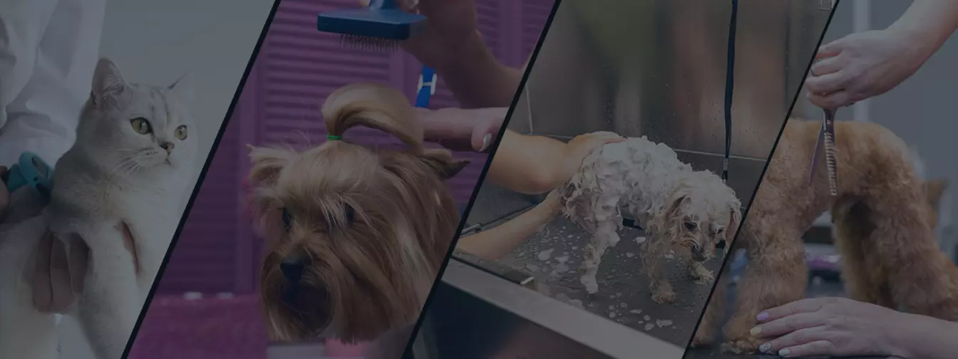 Saloni za kućne ljubimce, šišanje i kupanje