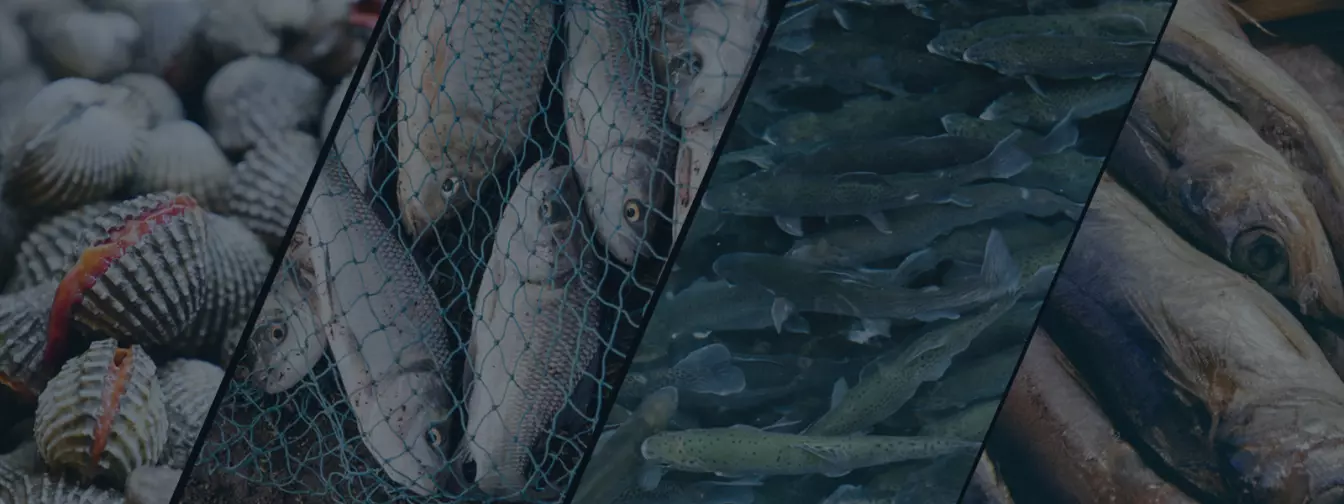 Uzgoj ribe i školjki